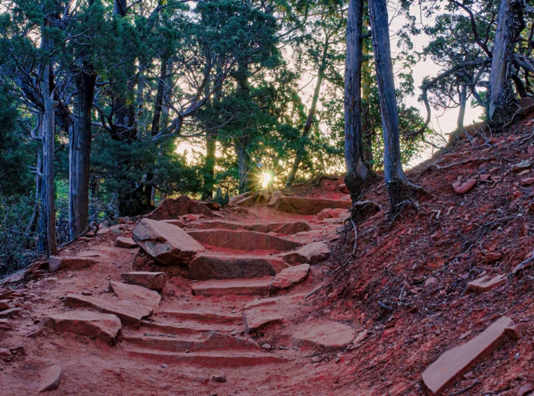 Why Step into Nature