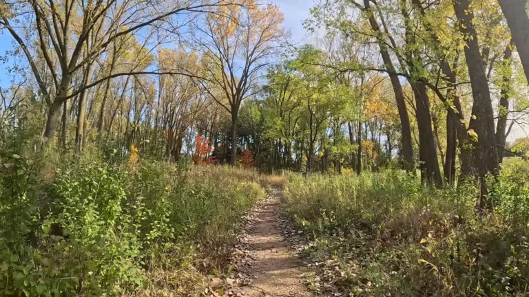 To the Creek